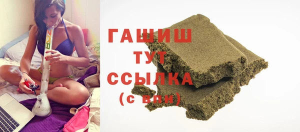 гашик Корсаков