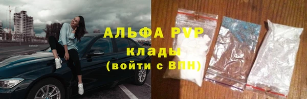 гашик Корсаков
