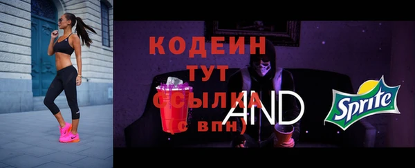 гашик Корсаков