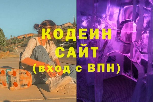 гашик Корсаков