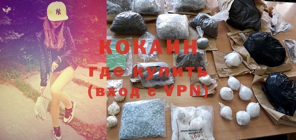 гашик Корсаков