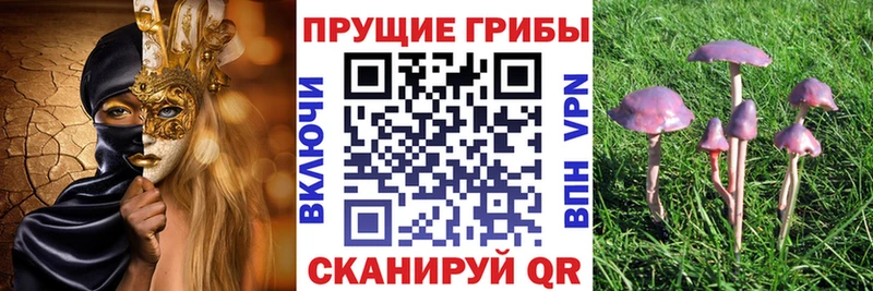 Купить где Лобня Галлюциногенные грибы ЛСД
